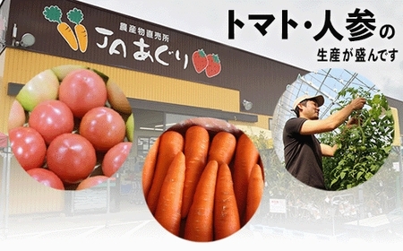 JA小松市 季節の野菜詰合せ 009044