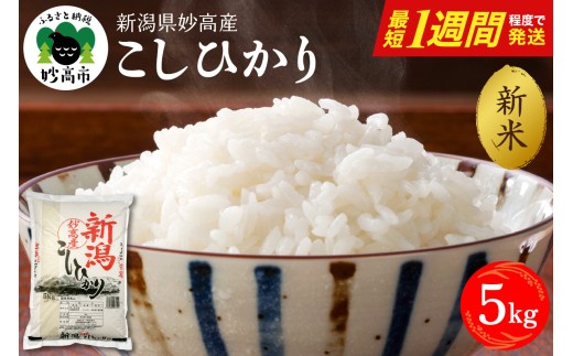 【最短1週間程度発送】令和8年産 新潟県妙高産こしひかり5kg