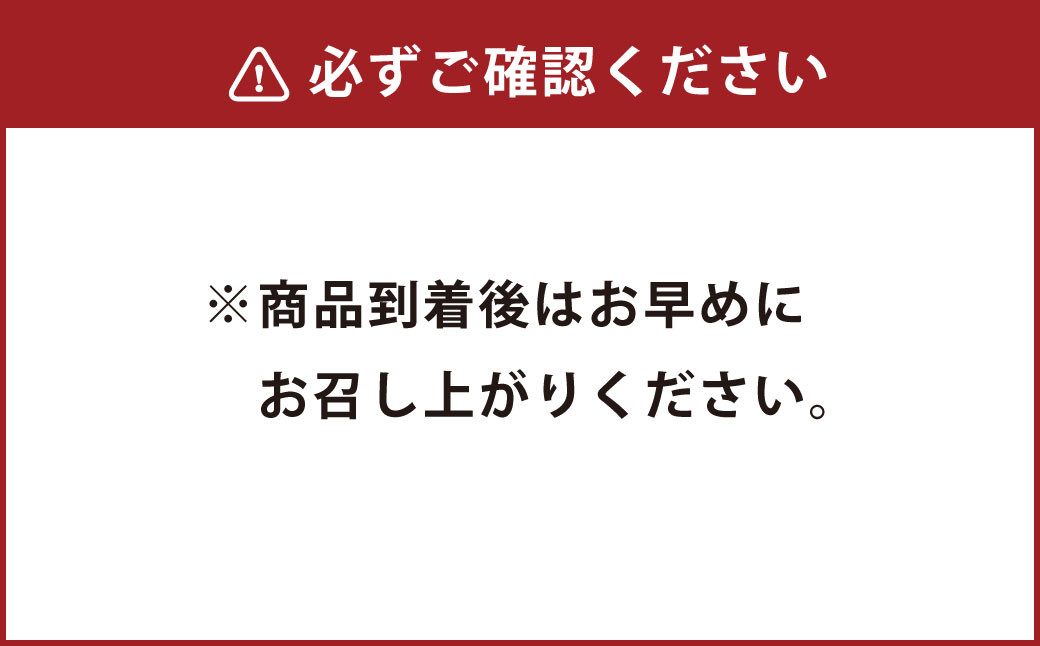 からし蓮根 約310g×3本 詰め合わせ 熊本名物 辛子蓮根