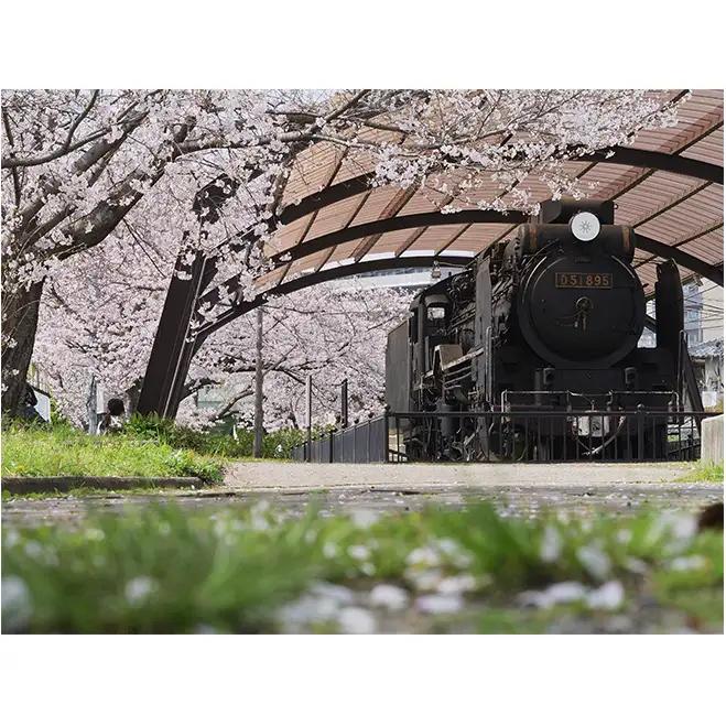 アートパネル 汽車と桜 織物 下村綱起 撮影 インテリア アートパネル
