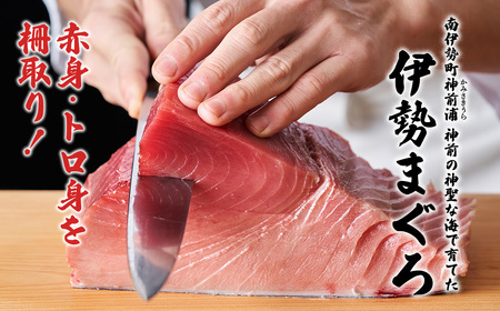 【冷凍】伊勢まぐろ（養殖本まぐろ）赤身・トロ身 計4個　約700g／鮪　本マグロ　トロ　三重県産
