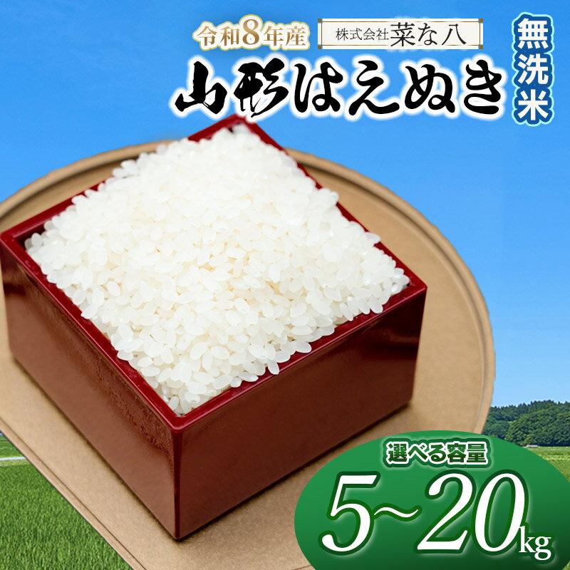 【ふるさと納税】【令和8年産先行予約】山形はえぬき【無洗米】　お選びください［5kg～20kg］　山形県庄内産 一等米 ごはんソムリエ監修