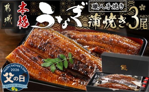 
                  【父の日】職人手焼きの本格うなぎ蒲焼き3尾≪6月18日～21日お届け≫_AC-33-003-3-FG_(都城市) 鰻蒲焼 3尾 (総重量450g以上) タレ付き (30ml×3個) 国産うなぎの蒲焼き 特製たれ付き 冷凍 ウナギ かば焼き うなぎ 父の日
                