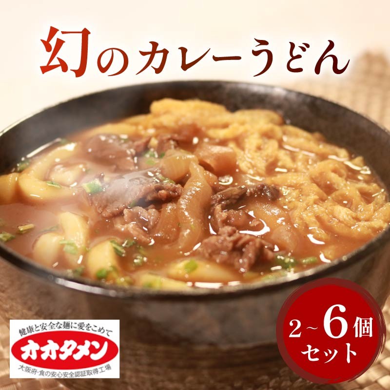 
            幻のカレーうどん カレーうどん うどん 2～6食 オオタメン 太田製麺所 製麺所 個包装 簡単調理 冷凍 めん 麺 2～6人前 できたて こだわり 大阪府 松原市
          