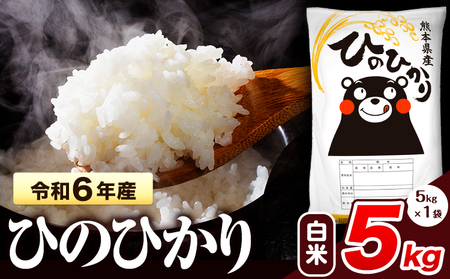 令和6年産 ひのひかり 白米 5kg 《7-14日以内に出荷予定(土日祝除く)予定》 熊本県産 白米 精米 氷川町 ひの 送料無料 ヒノヒカリ コメ 便利 ブランド米 お米 おこめ 熊本 SDGs