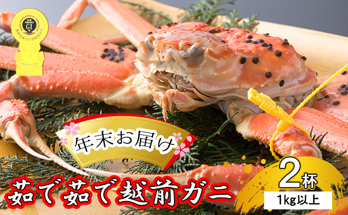 
茹で 越前ガニ 約1kg以上 2杯 年末配送 食通もうなる本場の味をぜひ、ご堪能ください 越前かに 蟹 カニ かに ボイルカニ ボイル蟹 ポーション ズワイガニ ずわい蟹 海鮮 福井 福井県 若狭町 [№5580-0593]
