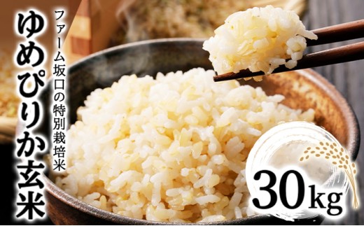 【玄米】《令和8年産》お米 ゆめぴりか玄米 30kg(30kg×1袋)｜米 北海道 岩見沢市 ファーム坂口の特別栽培米 30kg (30kg×1袋)
