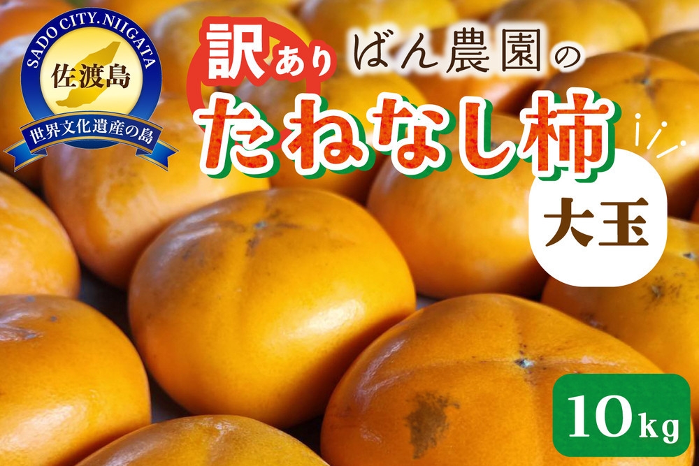 
                  【先行予約 2026年10月以降発送】【訳あり】佐渡島産 大玉たねなし柿 10kg（箱込み重量）1個220g以上 渋抜き済み 羽茂産 | 新潟県産柿 新潟産柿 佐渡産柿 佐渡島産かき たねなし柿 種無し柿 おけさ柿 柿 かき カキ 大玉 わけあり 家庭用 大容量 フルーツ にいがた さど 新潟県 佐渡市
                