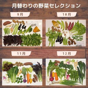 ＜12ヵ月定期便＞旬の野菜詰め合わせ 7～8種 | 野菜セット 詰め合わせ 定期便