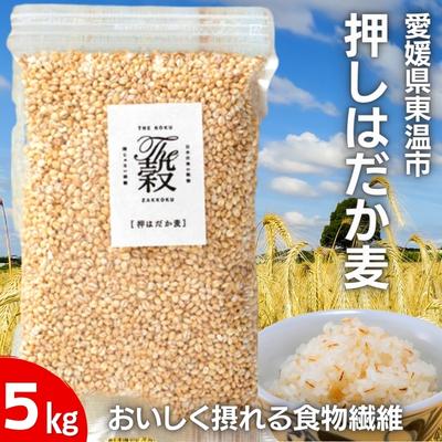【ふるさと納税】押しはだか麦5kgセット もち麦 お徳用 愛媛 食物繊維 5袋