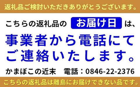 かまぼこ の近末 いろどりセット　※離島への配送不可