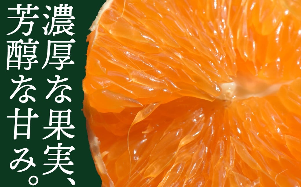 
            ≪先行予約≫ 温州みかん ご家庭用 3kg ~ 10kg 【選べる容量】訳あり 年末配送 年内配送 選べる わけあり 3キロ 5キロ 10キロ みかん ミカン 蜜柑 mikan 柑橘 旬 フルーツ 果物 愛知県 豊橋市 10000円 15000円 30000円 国産 豊橋産 愛知県 豊橋市
          