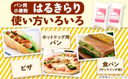 北海道十勝前田農産パン用小麦粉「はるきらり」(1kg×10袋) 有限会社 十勝太陽ファーム 送料無料 北海道 本別町《60日以内に出荷予定(土日祝除く)》