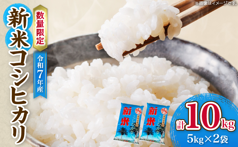 令和7年産 新米 コシヒカリ 計10kg お米 ご飯 ライス 国産 数量限定 期間限定 人気 食品 精米 白米 こしひかり 有洗米 おにぎり お弁当 炊き込みご飯 雑炊 ギフト プレゼント 贈り物 お取り寄せ 産地直送 宮崎県 日南市 送料無料_FA10-25