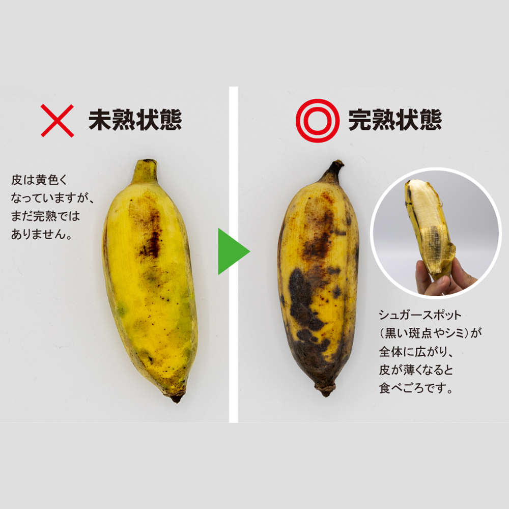 【沖縄本島産】浜ファームの「アップルバナナ」　5kg_イメージ4