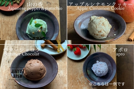【定期便6ヶ月毎月お届け】AMEYA AISU アイスクリーム＆シャーベット おまかせギフトボックス 100ML×6個入