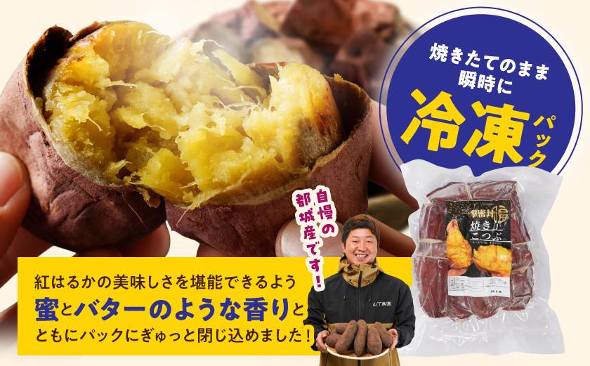 【訳あり】「一撃蜜封こつぶ」ひと口焼き芋2kg_AA-I704
