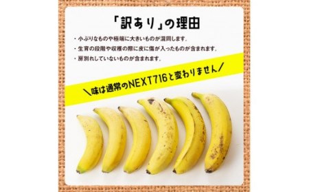 【訳あり】国産バナナ １ｋｇ【12ヶ月定期便】【 国産 バナナ 無農薬 フルーツ 果物 デザート 朝食 スムージー 訳ありバナナ 全12回 】