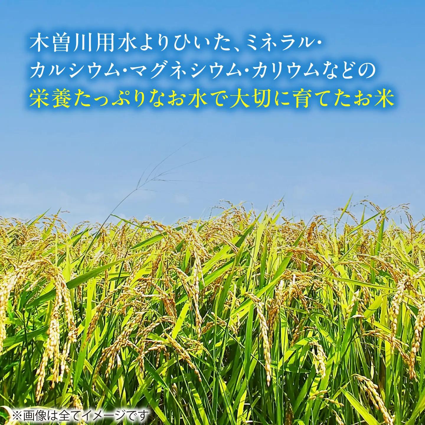 コシヒカリ 白米 10kg [AECP022-1] コシヒカリ
