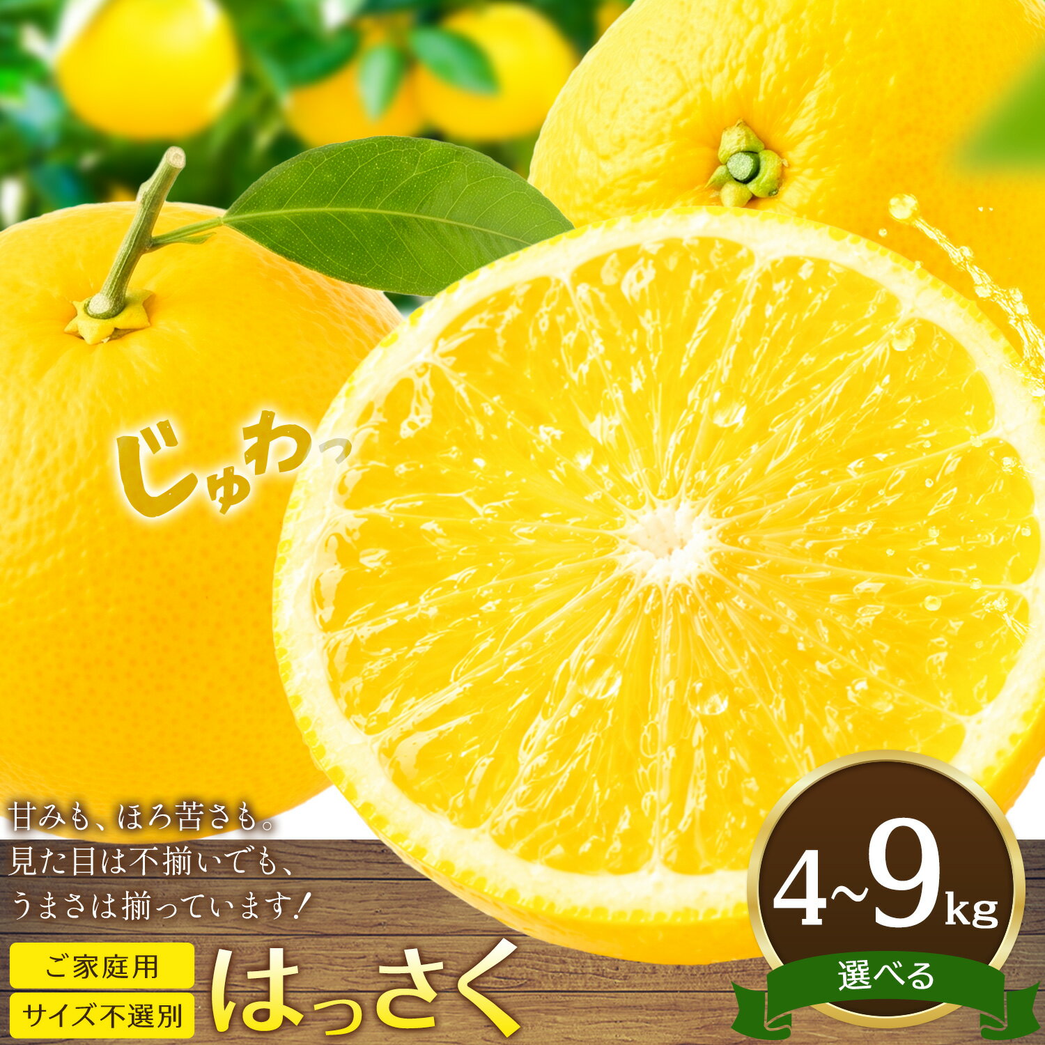 【ふるさと納税】八朔 はっさく ご家庭用 サイズ不選別 選べる 4kg 9kg《2027年2月上旬-2月下旬頃出荷予定(土日祝除く)》八朔 柑橘 果物 フルーツ 訳あり 規格外 傷あり 徳島県 美馬市 送料無料《2月上旬-2月下旬頃出荷》