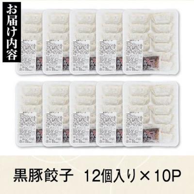 ふるさと納税 肝付町 黒豚餃子セット(12個入×10パック)　A02046 |  | 03