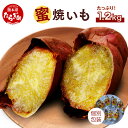 【ふるさと納税】≪2024年11月～順次発送≫ 紅はるか 蜜 焼いも 合計1.2kg (120g×10パック) 真空袋 真空パック 焼芋 焼き芋 ヤキイモ さつまいも さつま芋 個包装 特殊製法 野菜 スイーツ お菓子 おやつ しっとり 甘い 常温 九州産 国産 熊本県 多良木町 送料無料