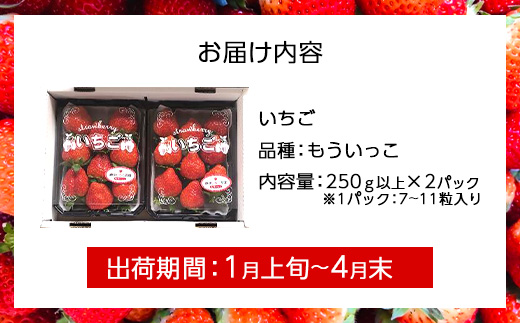 【完熟収穫】いちご　もういっこ　250g×2パック　【04324-0204】