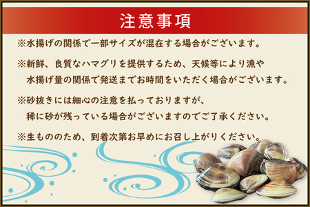 期間限定 鹿島灘 ハマグリ 訳あり 2kg 砂抜き済み はまぐり 蛤 わけあり 国産 天然 茨城県産 鹿島灘産 焼き蛤 BBQ おせち お雑煮 お吸い物 ラーメン パスタ_BK003