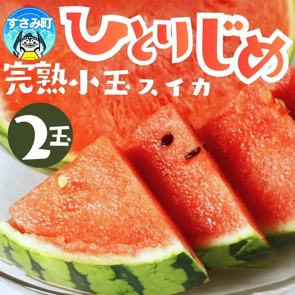 すいか 紀州和歌山産 小玉スイカ「ひとりじめ」2玉【uot779A】