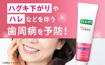 【最短7日以内発送】 GUMハグキラボ デンタルペースト 85g（ナチュラルハーブミント）20本 歯磨き粉 ハミガキ はみがき GUM ストック 消耗品 日用品 大容量 大阪府高槻市/サンスター[AO