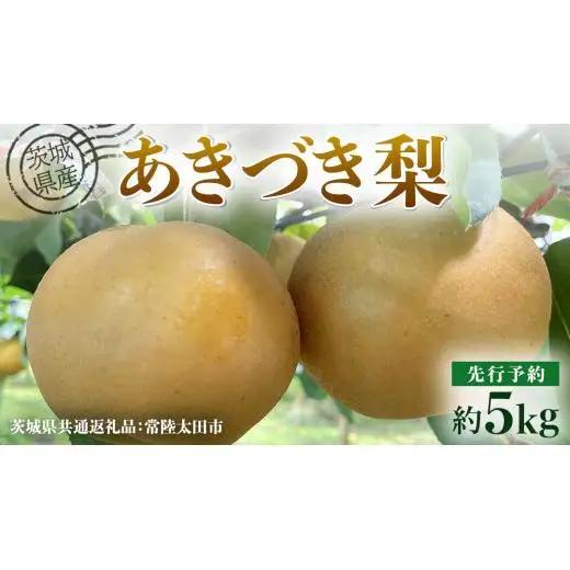 【 先行予約 】茨城県産 梨 あきづき 約5kg 8玉～12玉 ( 茨城県共通返礼品 : 常陸太田市 ) 【 2026年 9月中旬頃より発送 】