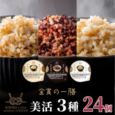 ふるさと納税 松原市 金賞健康米 美活3種 常温 ご飯パック 120g×24個 玄米・黒米 金のいぶき キラリモチ 各8個