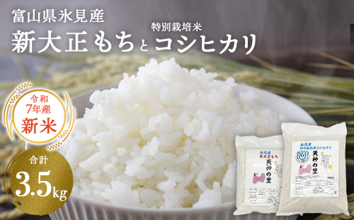富山県氷見産 新大正もち（1.5kg）と特別栽培米コシヒカリ（2kg）のセット 天神の里