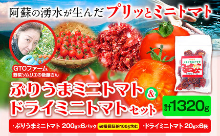 ぷりうまミニトマト ドライミニトマト セット 1320g トマト ミニトマト 野菜 GTOファーム 熊本県 南阿蘇村《2026年7月上旬-10月末頃出荷》