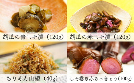 【辻しば漬本舗】大原のしば漬と京漬物、ちりめん山椒詰合せ（12種）