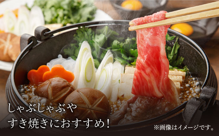 【3回定期便】佐賀和牛ももカタ 薄切り 計600g（300g×2p）【一ノ瀬畜産】 [NAC155]