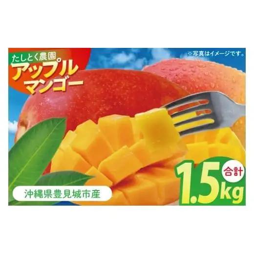 沖縄県豊見城市産アップルマンゴー 約1.5kg