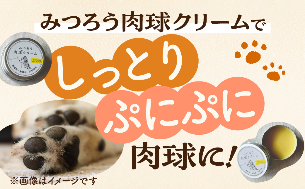 【11月〜4月お届け】 国産はちみつ 肉球クリーム 【 10g  】 肉球 クリーム ペット 犬 愛犬 グッズ 国産 トチ 百花 はちみつ ハチミツ 蜂蜜 送料無料 チクマ養蜂 岐阜県産