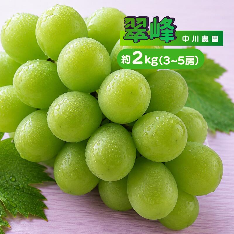 【ふるさと納税】翠峰 約2kg 3～5房 岡山県新見市 中川農園 【先行予約 2026年9月から順次発送】