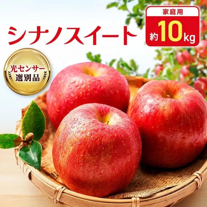 りんご シナノスイート 約10kg 24～40玉入 りんご