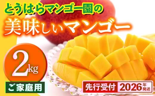 
            【先行受付】【2026年発送】とうはらマンゴー園の美味しいマンゴー家庭用 約2kg - 先行予約 沖縄 産地直送 南国フルーツ 旬の味覚 家庭用 ご自宅用 2キロ オススメ 沖縄県 八重瀬町
          