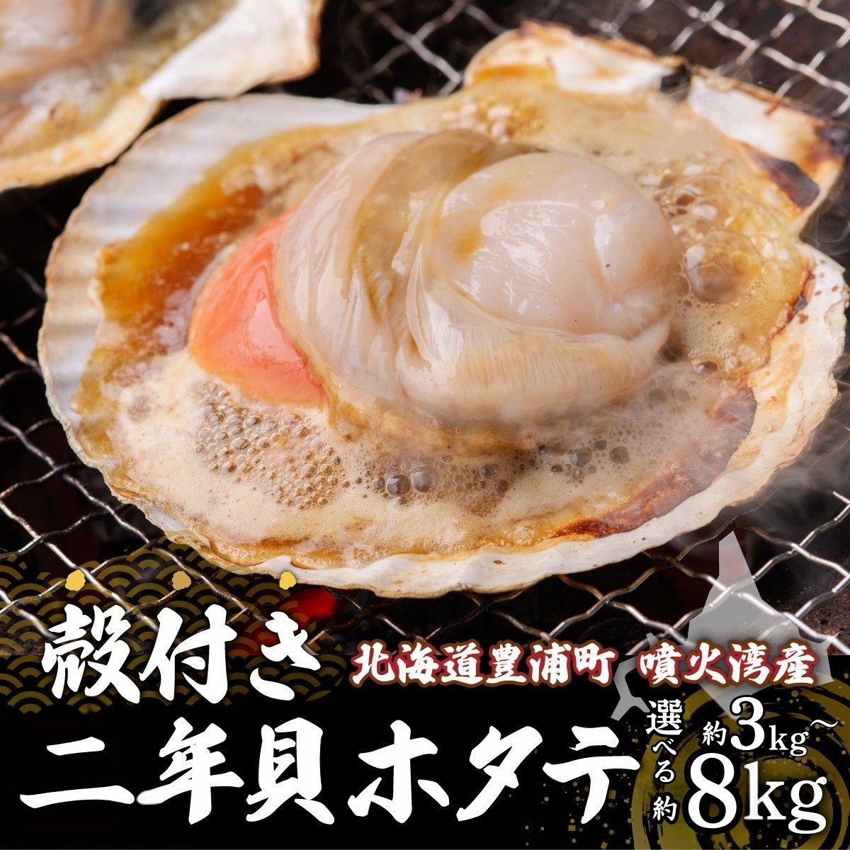 【ふるさと納税】【先行予約】北海道 豊浦町 殻付き 2年貝 活ホタテ 選べる 約3kg ～ 約8kg（2026年1月から3月より順次発送）【 ふるさと納税 人気 おすすめ ランキング 魚介類 貝 帆立 ホタテ ほたて 噴火湾 殻付き 二年貝 新鮮 北海道 豊浦町 送料無料 】TYUP001