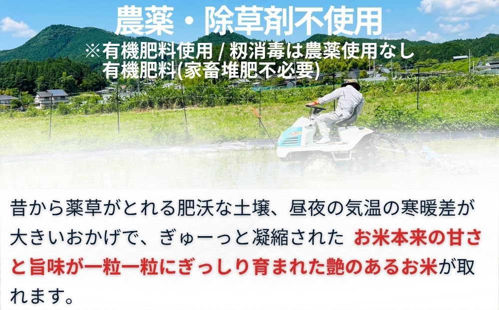 【定期便6回】天真爛漫 奥大和高原米 ＜令和7年産 玄米 3kg＞ ／ ふるさと納税 無農薬 米 お米 こめ コメ 国産 新米 玄米 一等米 農家やまおか 有機肥料使用 農薬不使用 除草剤不使用 奈良