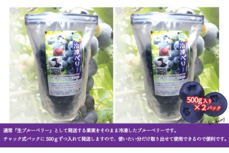 【先行予約】 冷凍ブルーベリー１㎏　西条ブルーベリー農園 ブルーベリー 冷凍 2024年7～9月発送