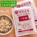 【ふるさと納税】つや姫発芽玄米を炊いたごはん150g（16パック／40パック）有機栽培玄米使用 | 無農薬 レトルト つやひめ お米 無添加 ギフト お取り寄せ 電子レンジ使用可能 宮城 登米