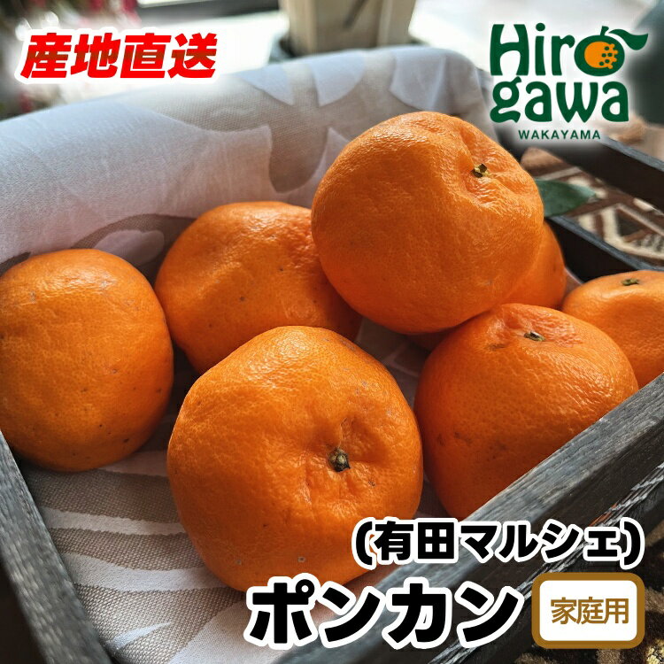 【ふるさと納税】【先行予約】 極甘 柑橘 有田育ちの 濃厚 ポンカン（訳あり 家庭用）※2026年1月上旬～2026年2月下旬に順次発送 ※北海道・沖縄・その他離島地域は発送不可 / みかん 蜜柑 柑橘 果物 フルーツ くだもの 果実 国産 和歌山県 晩柑 有田 //dekopon