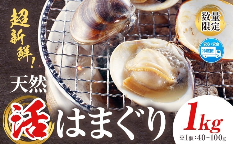 
            数量限定 天然 活 はまぐり 1kg 1個:40g～100g 寺田水産 《2025年7月上旬-2026年6月末頃出荷》千葉県 勝浦市 海産 貝 はまぐり【配送不可地域：離島・北海道・沖縄県・東北・中国・四国・九州】
          