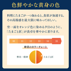 たまご 【たまごと匠】 赤玉 40粒（2箱）