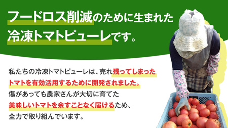 冷凍 トマトピューレ 1000g × 5パック 訳あり [AL012tu]