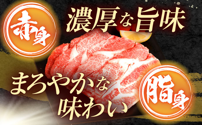 【6回定期便】長崎和牛 切り落とし 2kg（400g×5）肩ロース・モモ・カタ・バラ使用 / 牛肉 ぎゅうにく 肉 和牛 国産牛 切落し / 諫早市 / 西日本フード株式会社 [AHAV029]